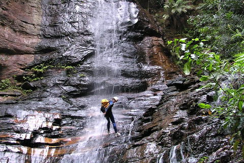 Full-Day Canyoning Experience At Stunning Empress Canyon - Accommodation NSW 0