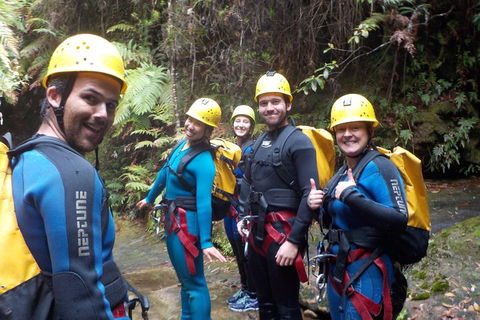 Full-Day Canyoning Experience At Stunning Empress Canyon - Accommodation NSW 1