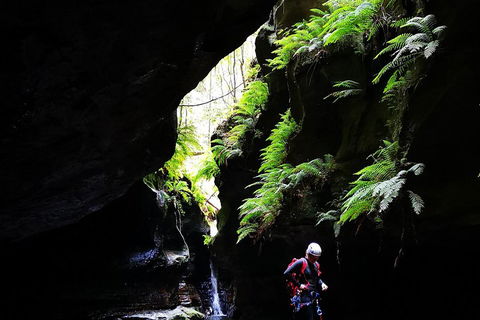 Full-Day Canyoning Experience At Stunning Empress Canyon - Accommodation NSW 2
