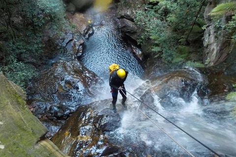 Full-Day Canyoning Experience At Stunning Empress Canyon - Accommodation NSW 4