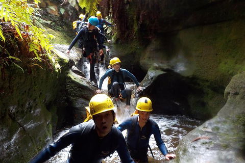 Full-Day Canyoning Experience At Stunning Empress Canyon - Accommodation NSW 5