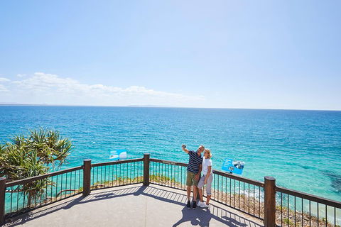 Noosa Everglades Serenity Cruise & Highlights Tour Inc. Lunch & Cruise - Accommodation NSW 3