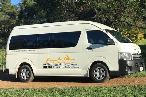 Noosa Everglades Serenity Cruise & Highlights Tour Inc. Lunch & Cruise - Accommodation NSW 5