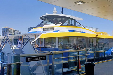 Brisbane City Essentials Walking Tour - Accommodation NSW 3