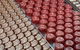 Yarra Valley, Dandenong Ranges Inc. Lunch With Wine,plus Morning Tea,chocolate - thumb 2