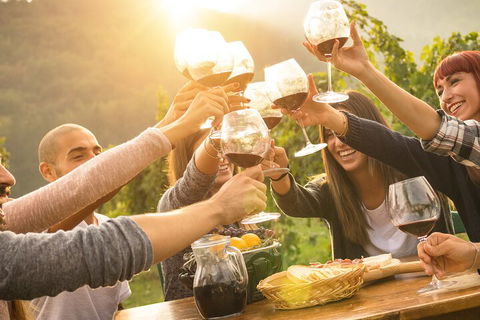 Yarra Valley, Dandenong Ranges Inc. Lunch With Wine,plus Morning Tea,chocolate - Accommodation NSW 4