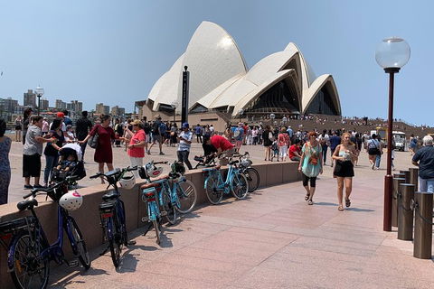 The Big Easy - Accommodation NSW 4