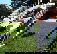 Smartphone  Camera Photography Basics - Accommodation NSW