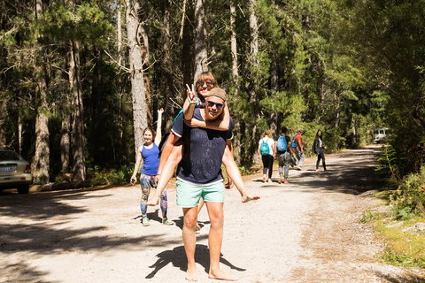 7-Day Best Of Tasmania Adventure Experience From Hobart (flexible Ticket) - Accommodation NSW 5