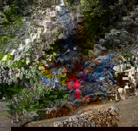 5-Day Lap of Tasmania Tour from Hobart flexible ticket - Accommodation NSW