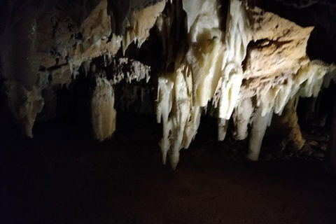 The Pinnacle Adventure Tour - Accommodation NSW 0