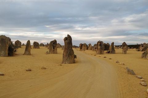 The Pinnacle Adventure Tour - Accommodation NSW 1