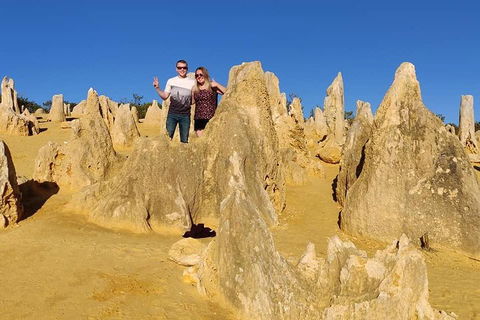 The Pinnacle Adventure Tour - Accommodation NSW 4