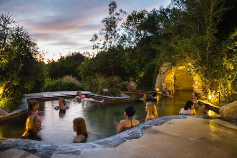 Peninsula Hot Springs & Wine Tasting - Day Tour - Accommodation NSW 3