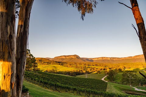 Taste Of The Blue Mountains - Lunch & Wine Tasting, Beer, Cider & Gin Tasting - Accommodation NSW 1