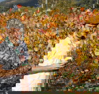 Signature Tour - Accommodation NSW