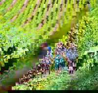 Tasmanian Wine Tour - Accommodation NSW