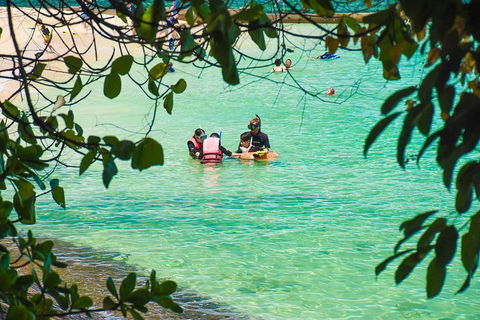 Green Island Day Trip From Cairns - Accommodation NSW 2