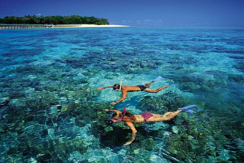 Green Island Day Trip From Cairns - Accommodation NSW 5