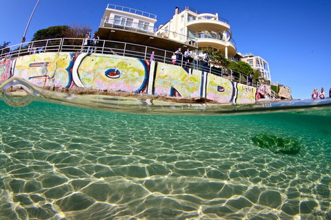 Bondi Like A Local: Half-Day Sightseeing Tour Including Surf Lesson - Accommodation NSW 4