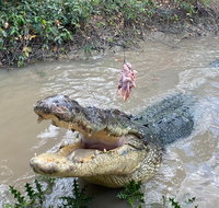Top End Waterfalls and Wetlands - Accommodation NSW