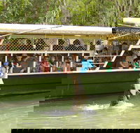 Hartley's Crocodile Adventure Half-Day Tour - Accommodation NSW