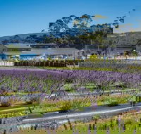 Private Hobart Discover South East Food and Scenic Tour - Accommodation NSW