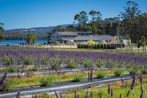 Private Hobart Discover South East Food And Scenic Tour - Accommodation NSW 0