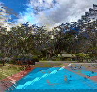 Tahune Airwalk Active Day Trip from Hobart Including Hastings Caves - Accommodation NSW