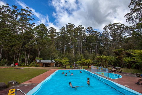 Tahune Airwalk Active Day Trip From Hobart Including Hastings Caves - Accommodation NSW 0