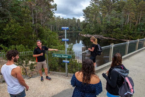 Tahune Airwalk Active Day Trip From Hobart Including Hastings Caves - Accommodation NSW 1