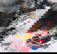 Barron Gorge National Park Half-Day White Water Rafting from Cairns or Port Douglas - Accommodation NSW