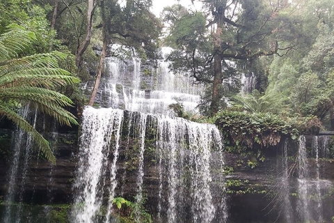 6-Day Hearty Tasmania Tour (Tasmania In A Circle) - Accommodation NSW 0