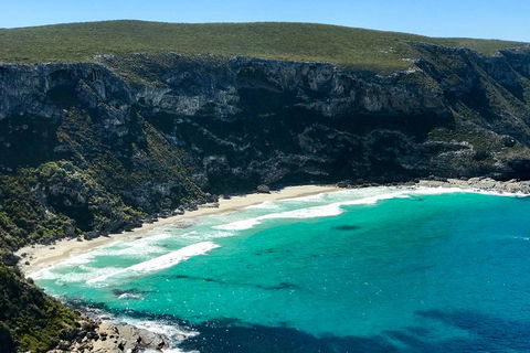 Kangaroo Island Scenic Trail Tour - Accommodation NSW 4