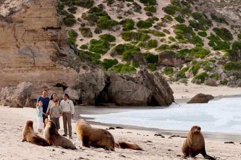 Kangaroo Island Scenic Trail Tour - Accommodation NSW 5