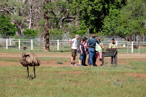 Yura Udnyu - Our Culture, Your Culture (Aboriginal Cultural Walk) - Accommodation NSW 1