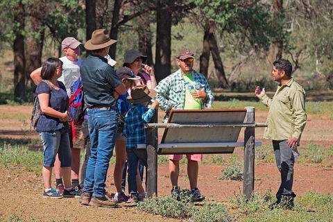 Yura Udnyu - Our Culture, Your Culture (Aboriginal Cultural Walk) - Accommodation NSW 2