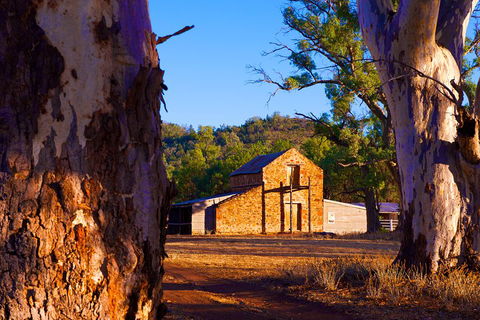 Yura Udnyu - Our Culture, Your Culture (Aboriginal Cultural Walk) - Accommodation NSW 4