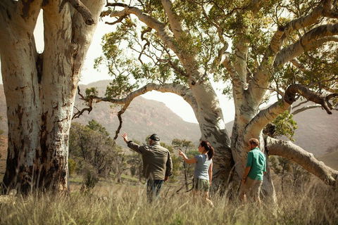Yura Udnyu - Our Culture, Your Culture (Aboriginal Cultural Walk) - Accommodation NSW 5