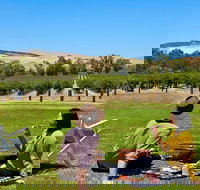 Private Picnic and Wine Tasting Experience in Barossa Valley - Accommodation NSW
