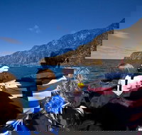 Seal Island Boat Tour from Victor Harbor - Accommodation NSW