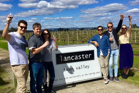 Swan Valley Tour From Perth: Wine, Beer And Chocolate Tastings - Accommodation NSW 1