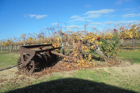 Swan Valley Tour From Perth: Wine, Beer And Chocolate Tastings - Accommodation NSW 3