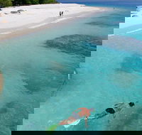 Fitzroy Island Day Trip from Cairns - Accommodation NSW