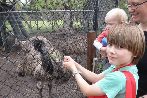 Swan Valley Half-Day Food Tour And Wine Trail From Perth - Accommodation NSW 5
