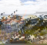 6-Day Eyre Peninsula  Flinders Ranges Adventure Tour - Accommodation NSW