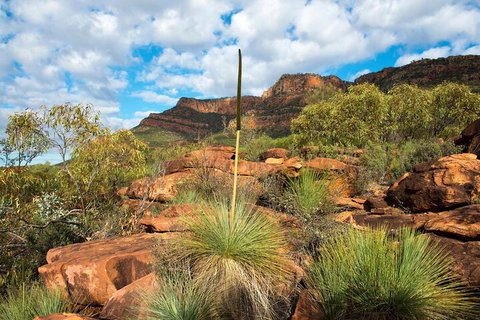 6-Day Eyre Peninsula & Flinders Ranges Adventure Tour - Accommodation NSW 1
