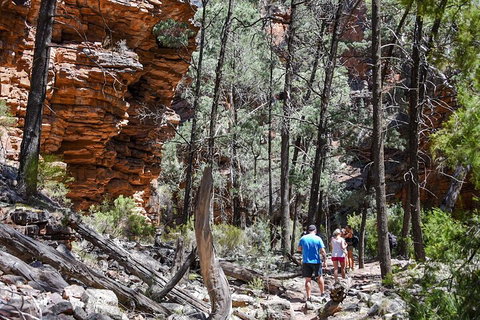 6-Day Eyre Peninsula & Flinders Ranges Adventure Tour - Accommodation NSW 5