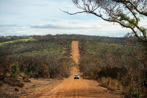 NEW TOUR - Kangaroo Island Road To Recovery Tour (1 Day/1 Night) - Accommodation NSW 2