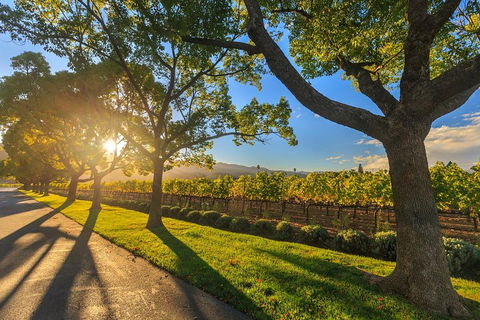 Very Best Of Perth Tour - Wildlife Park & City Highlights Tour - Accommodation NSW 2